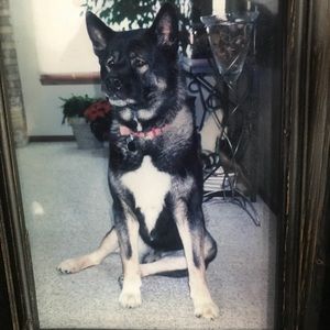 Meet your Posher, Vicki